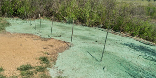 Slope treated with spray-applied erosion control material to stabilize soil and prevent runoff
